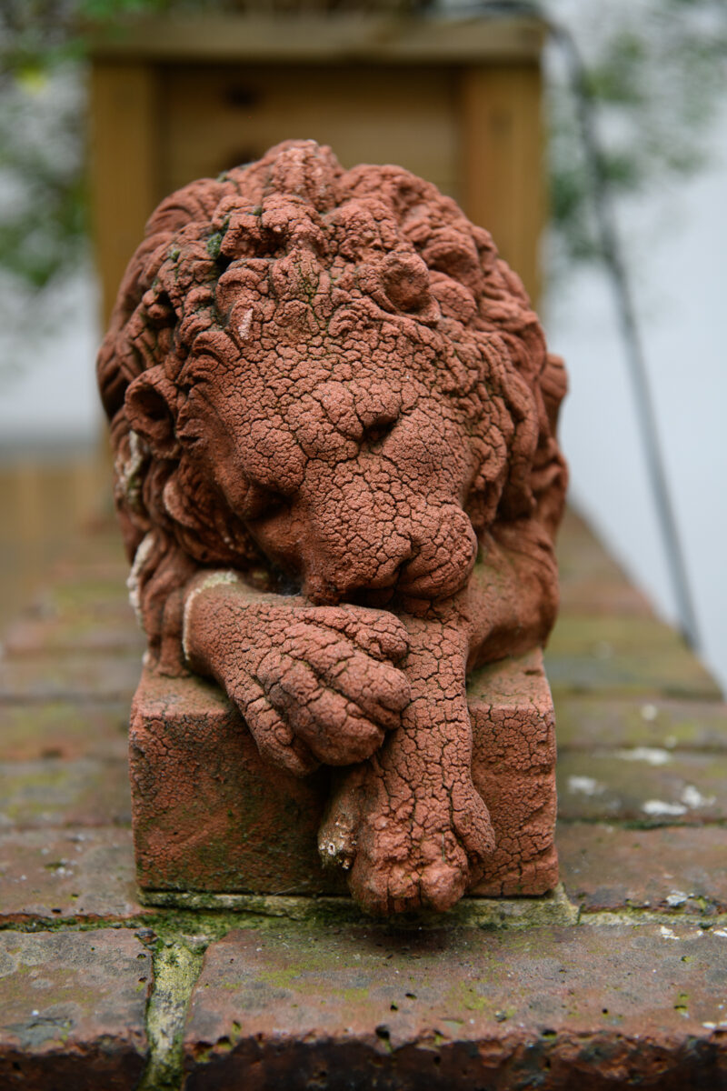 Fraud Newsletter – November 2025