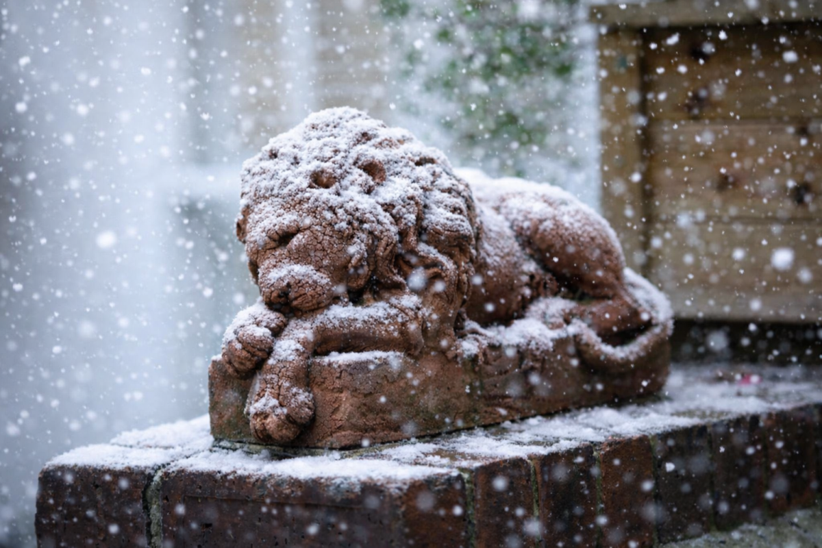 Xmas and New Year Holiday dates